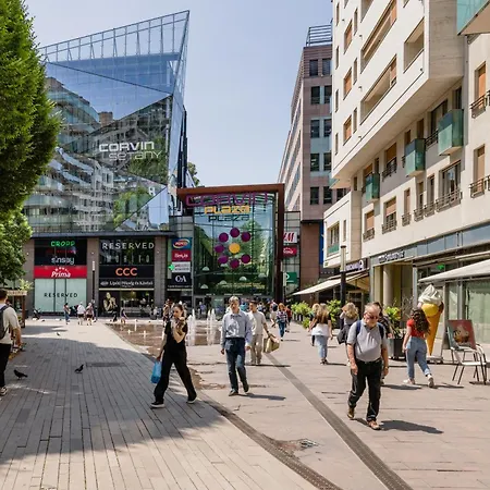 公寓 Penthouse With Terraces, Sky Garden & Free Parking 布达佩斯